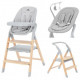 Carrello Ergo 4в1 цвет nordic grey