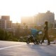 Bumbleride Indie ракурс 7 Прогулочная коляска Bumbleride Indie ракурс 7