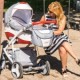 Camarelo Avenger ракурс 19 Коляска 2 в 1 Camarelo Avenger ракурс 19